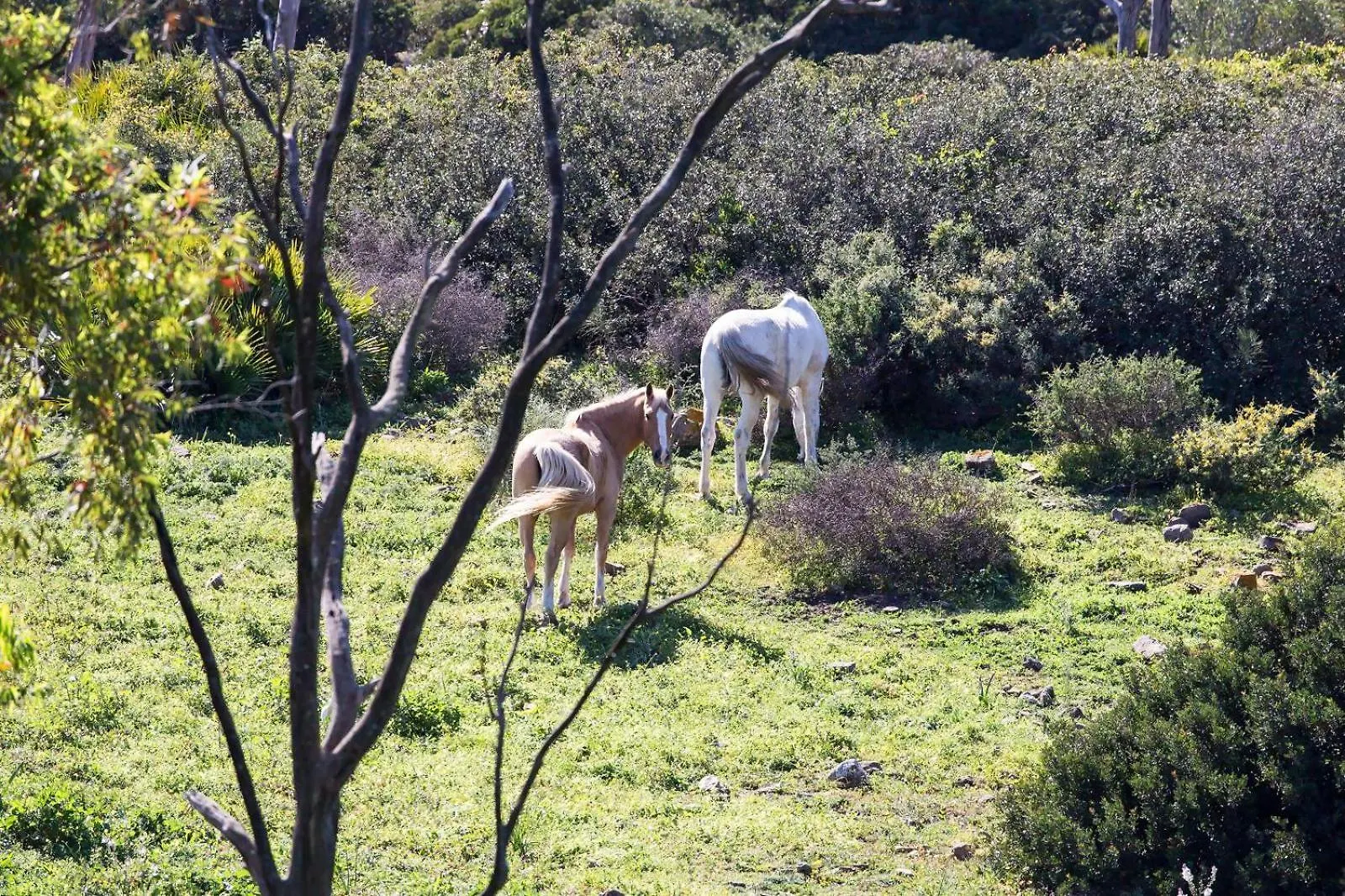 Paloma Lägenhet Tarifa Spanien