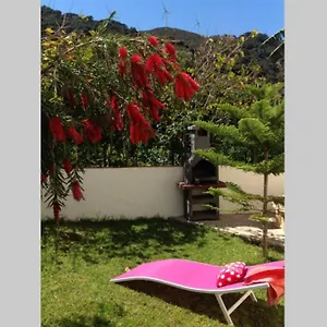 La Peña Rojo Wifi Tarifa